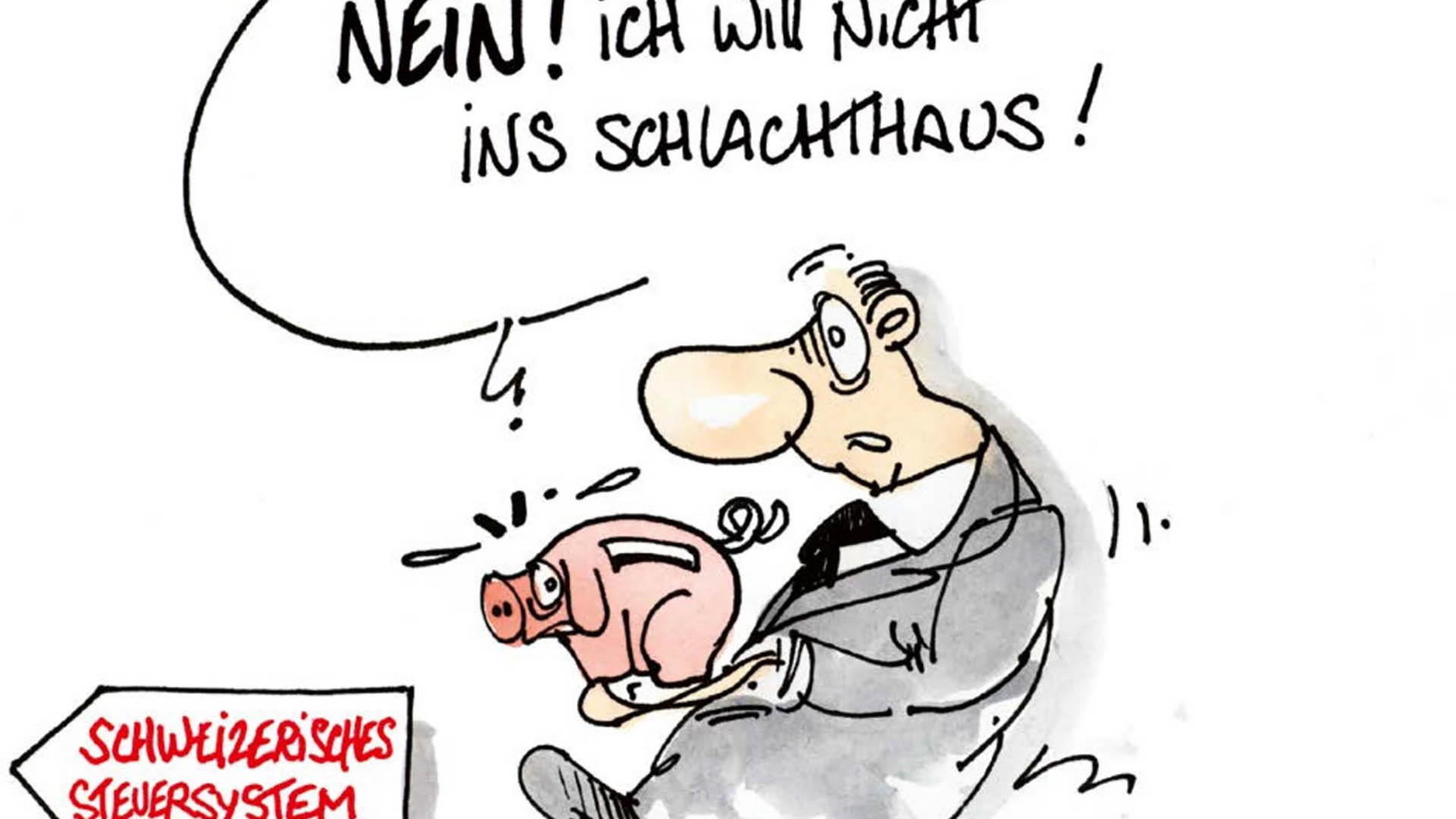 Das schweizerische Steuersystem